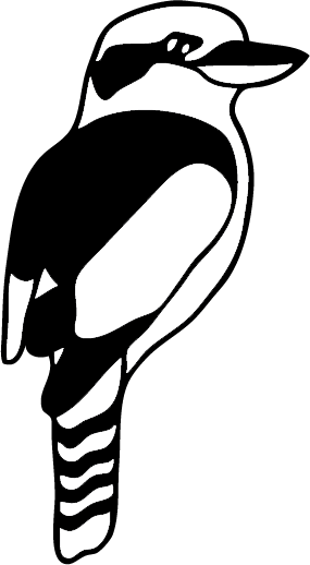 Kookabarra (Large)