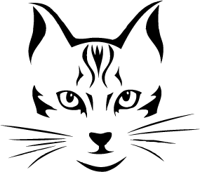 Cat Face
